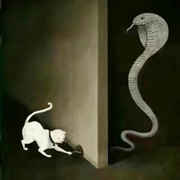 你好，再见。晚安的头像