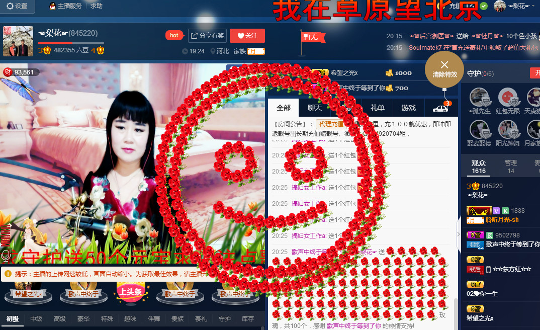 梨花不再期待的图片