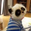 。誋譩里de愛