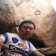 银杏树6