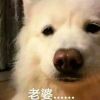 雨城萌心