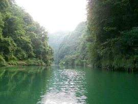 10点ღ情主播照片