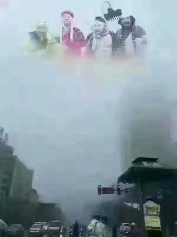茶韵🍃主播照片