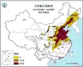 永远奔跑723主播照片