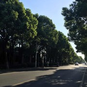 lushun4