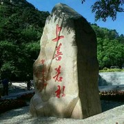 宁静致远vzi