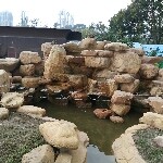 憋娃