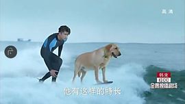 ✨媳婦⭐求🌙帶走✨主播照片
