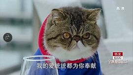 ✨媳婦⭐求🌙帶走✨主播照片