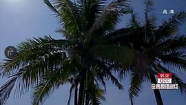 ✨媳婦⭐求🌙帶走✨主播照片