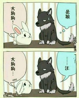 @白狐主播照片