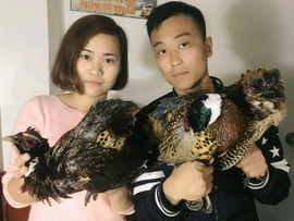 一切随缘**7主播照片