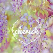 大白鲨0zn