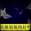 不.离.不.弃.海报