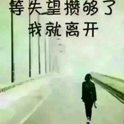 寒风刺骨d