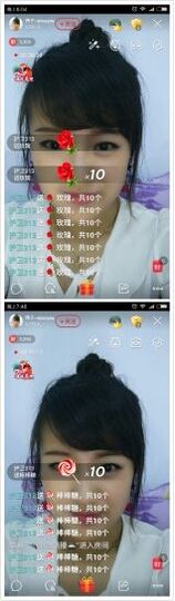 海鸽晚上晚会播主播照片