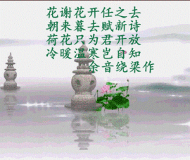 【乌托邦】主播照片