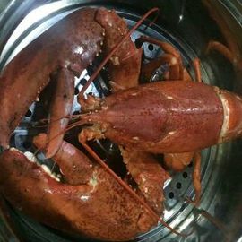八爪鱼哥(海鲜电商)主播照片
