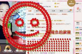锦绣说再见许是陌生人主播照片