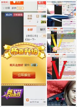 兔子背起书包上学堂主播照片