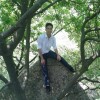 。，b$