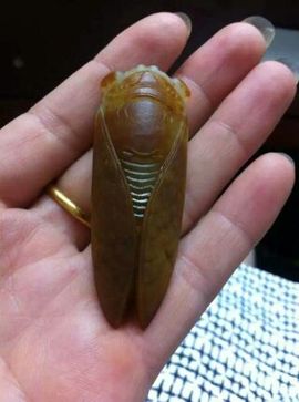 玉石定制主播照片