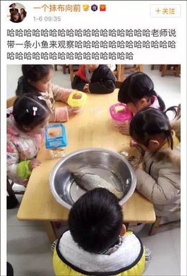 于美丽~主播照片