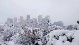 天甜唱歌给你听主播照片