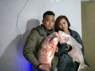 小青年车队的主播照片