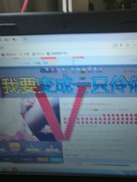 竹韵风林主播照片