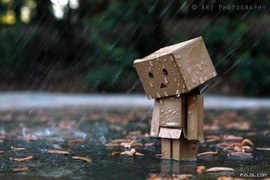 葱葱丿主播照片