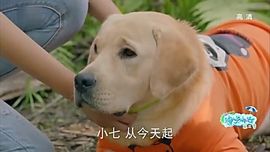 ✨媳婦⭐求🌙帶走✨主播照片