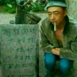 鱼缸的鱼