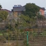 勿忘`初心海报