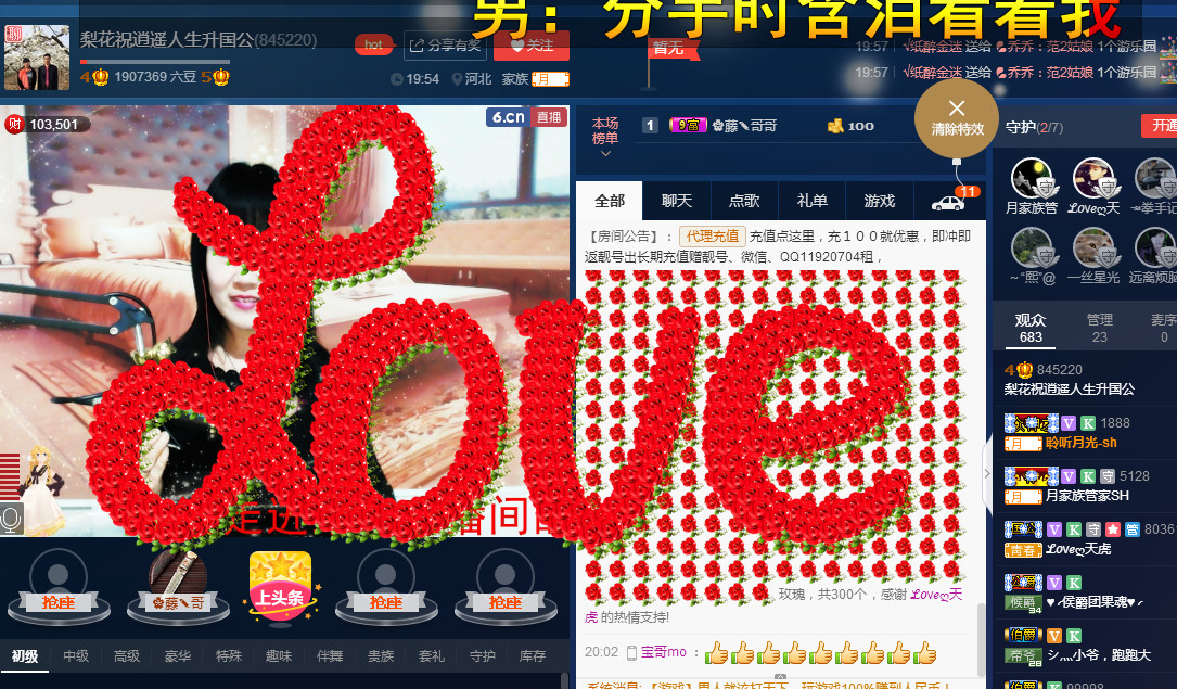 梨花不再期待的图片