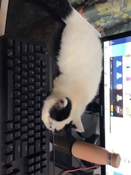 辛束啊主播照片