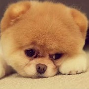 我并不是那么坚强y
