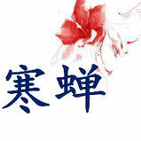 ……菜鸟……海报