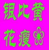 此栏省略主播照片