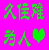 此栏省略主播照片