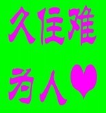 此栏省略主播照片