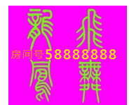 此栏省略主播照片