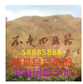 此栏省略主播照片