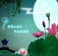 此栏省略主播照片