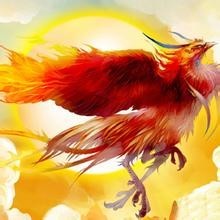 此栏省略主播照片