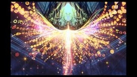 此栏省略主播照片