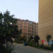 明天更好v7
