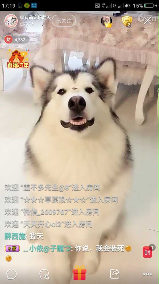 家有萌宠乐翻天的主播照片