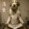 蛋定8y海报