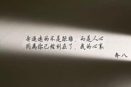 ♥╭侯爵团老八♥╭主播照片